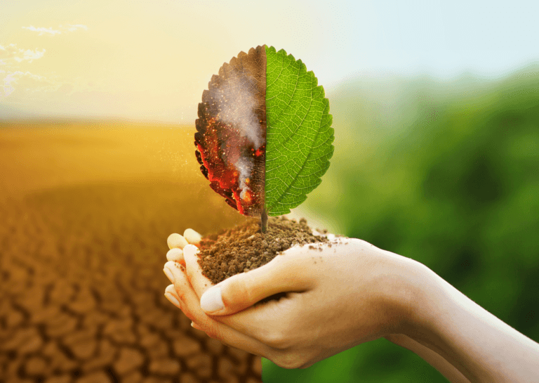 Folha dividida ao meio mostrando os efeitos das mudanças climáticas, com um lado seco e queimado e o outro lado verde e saudável, representando a necessidade de uma infraestrutura de TI resiliente.