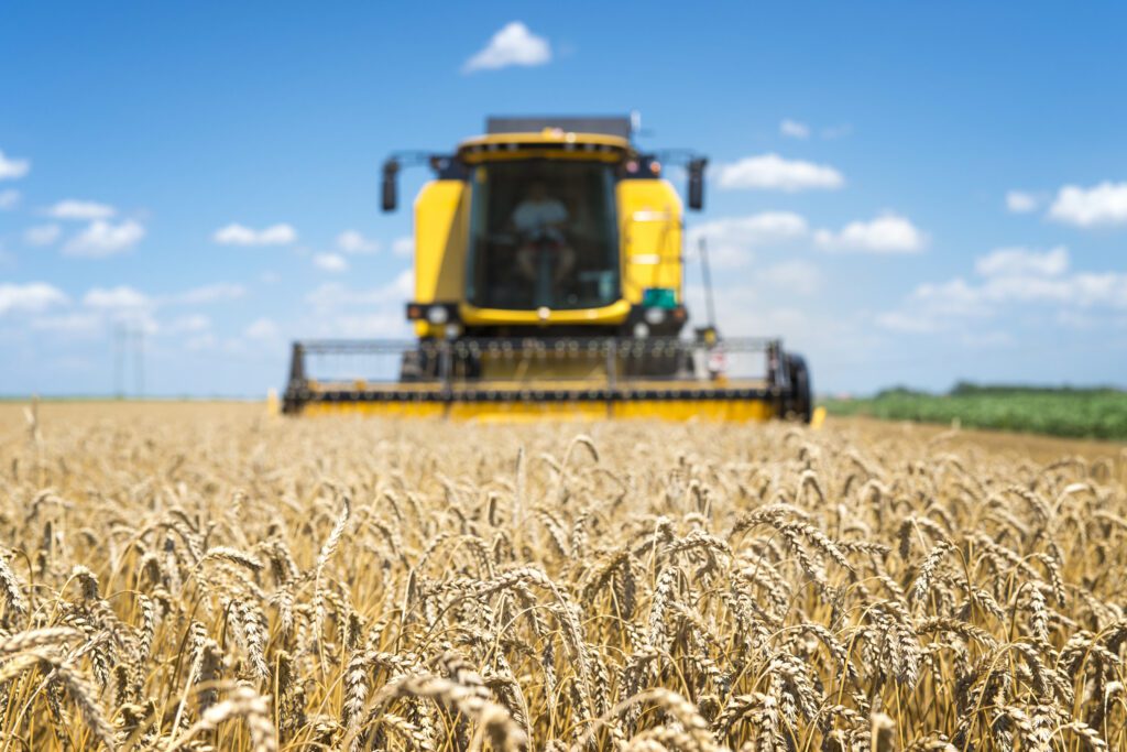 Colheitadeira amarela trabalhando em um campo de trigo sob um céu azul, simbolizando a eficiência e tecnologia na colheita agrícola moderna.